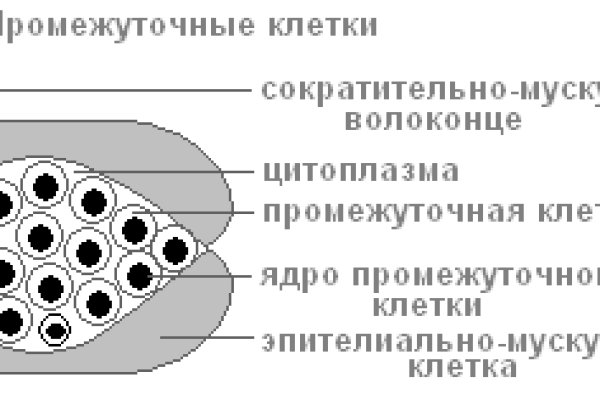 Кракен маркетплейс как зайти